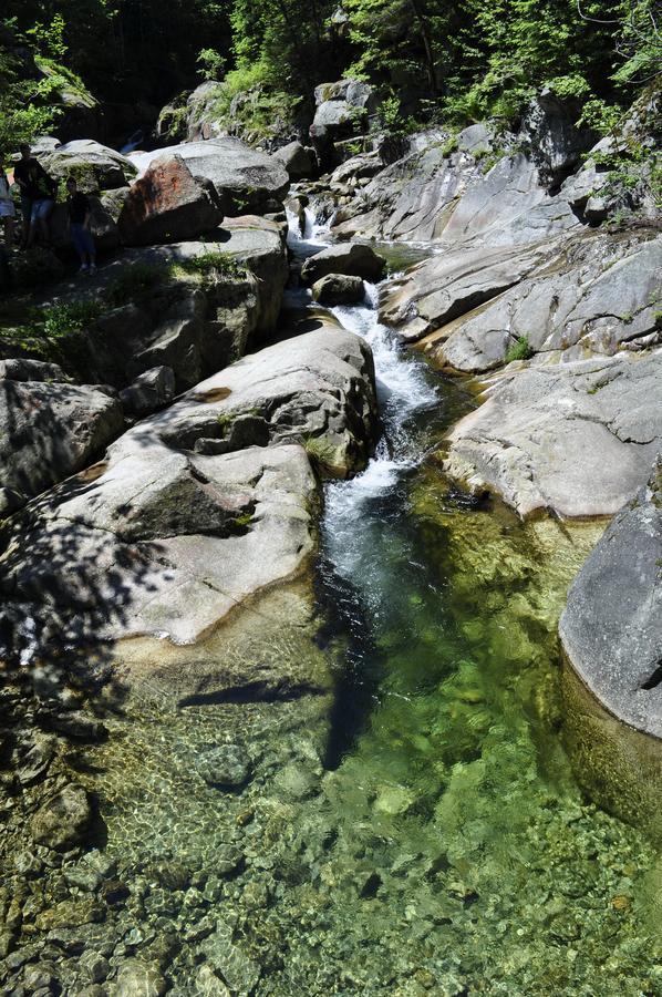 Cabana Cascada Carnic Nucsoara  Exteriör bild